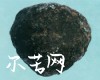 微信小程序开发公司